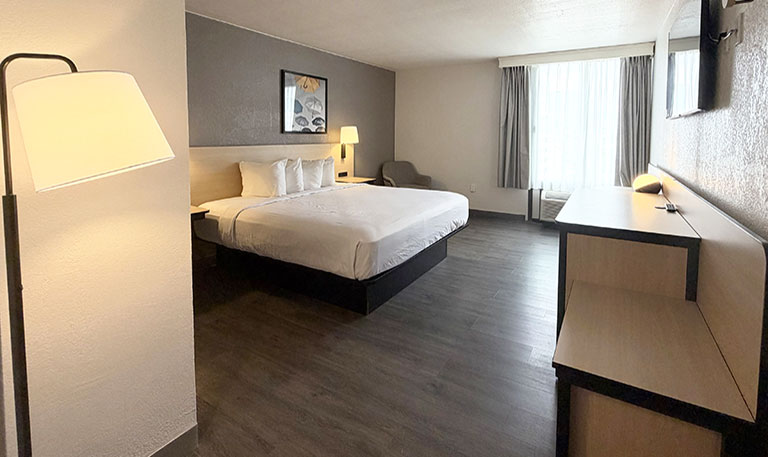 Newly Renovated Deluxe King Room